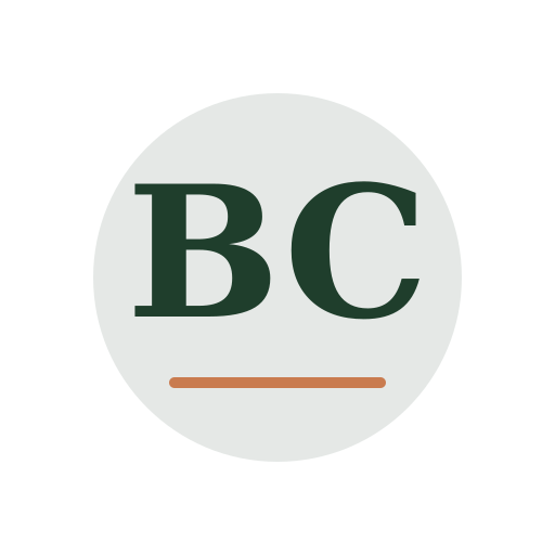 Brden Chimney Services logo